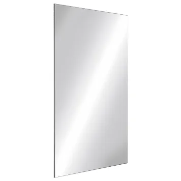 Delabie rikkoutumaton RST peili, 595 x 980 x 10 mm